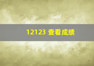 12123 查看成绩